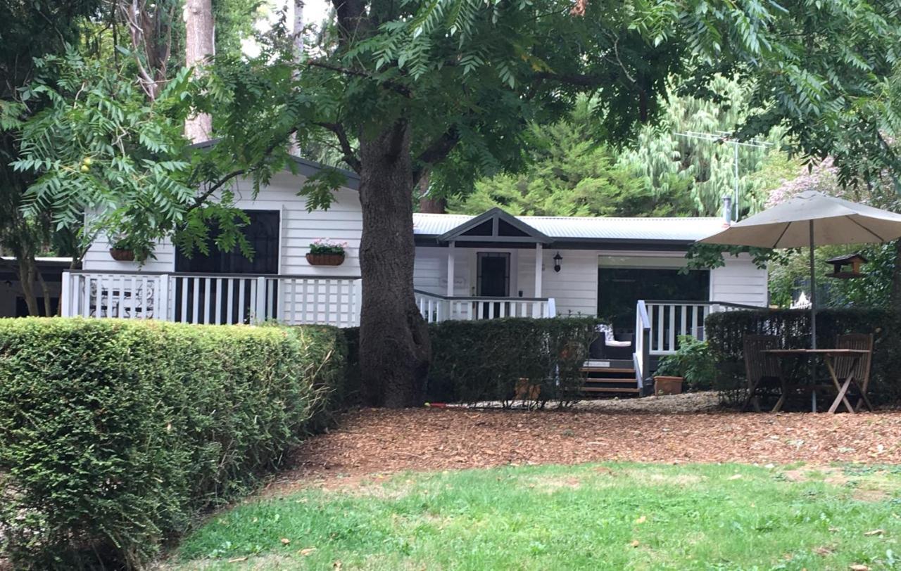 Clarendon Cottages Sassafras Exterior photo